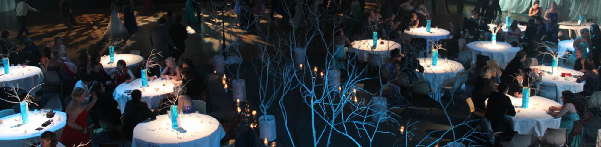 Event Ion Lighting From Dunedin Throughout Nz